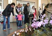 23. Orchideenschau in Bad Salzuflen 23. Orchideenschau in Bad Salzuflen