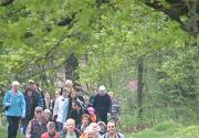 LZ-Sternwanderung 2013